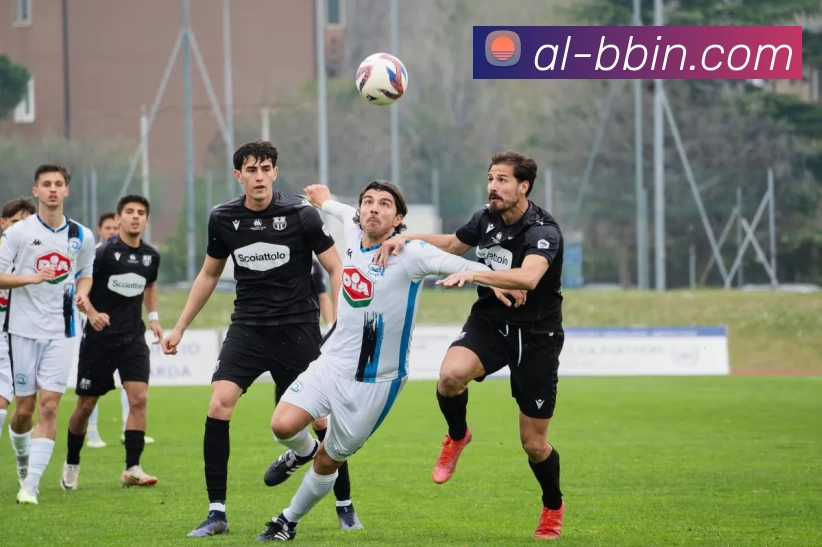 bbin体育平台平台生态图